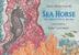 Cover art for SEA HORSE