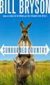 Cover art for IN A SUNBURNED COUNTRY