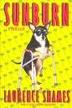 Cover art for SUNBURN
