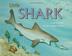 Cover art for LITTLE SHARK