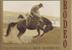 Cover art for RODEO