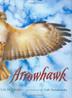 Cover art for ARROWHAWK