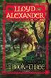 Cover art for THE BOOK OF THREE