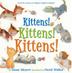 Cover art for KITTENS! KITTENS! KITTENS!
