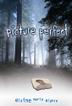Cover art for PICTURE PERFECT