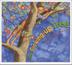 Cover art for THE GROWING-UP TREE