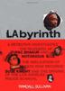 Cover art for LABYRINTH