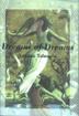 Cover art for DREAMS OF DREAMS