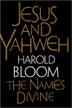 Cover art for JESUS AND YAHWEH