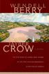 Cover art for JAYBER CROW