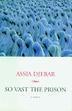 Cover art for SO VAST THE PRISON