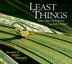 Cover art for LEAST THINGS