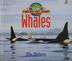 Cover art for FINDING OUT ABOUT WHALES