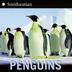 Cover art for PENGUINS