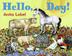 Cover art for HELLO, DAY!