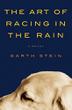 Cover art for THE ART OF RACING IN THE RAIN