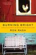 Cover art for BURNING BRIGHT