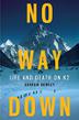 Cover art for NO WAY DOWN