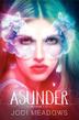 Cover art for ASUNDER