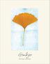 Cover art for GINKGO