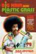 Cover art for BIG HAIR AND PLASTIC GRASS