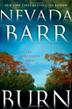 Cover art for BURN