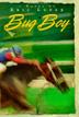 Cover art for BUG BOY