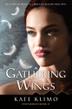Cover art for A GATHERING OF WINGS