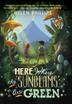 Cover art for HERE WHERE THE SUNBEAMS ARE GREEN
