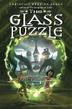 Cover art for THE GLASS PUZZLE