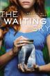 Cover art for THE WAITING SKY