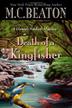 Cover art for DEATH OF A KINGFISHER