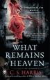 Cover art for WHAT REMAINS OF HEAVEN