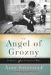Cover art for THE ANGEL OF GROZNY