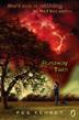 Cover art for RUNAWAY TWIN
