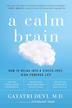 Cover art for A CALM BRAIN