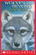 Cover art for WOLVES OF THE BEYOND