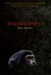 Cover art for ENDANGERED