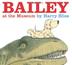 Cover art for BAILEY AT THE MUSEUM