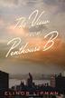 Cover art for THE VIEW FROM PENTHOUSE B