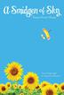 Cover art for SMIDGEN OF SKY