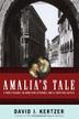 Cover art for AMALIA’S TALE