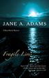 Cover art for FRAGILE LIVES