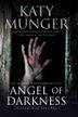 Cover art for ANGEL OF DARKNESS