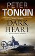 Cover art for DARK HEART
