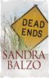 Cover art for DEAD ENDS