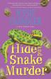 Cover art for HIDE AND SNAKE MURDER