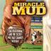 Cover art for MIRACLE MUD