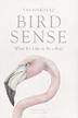 Cover art for BIRD SENSE