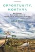 Cover art for OPPORTUNITY, MONTANA